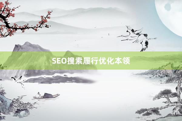 SEO搜索履行优化本领